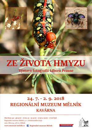 Ze života hmyzu